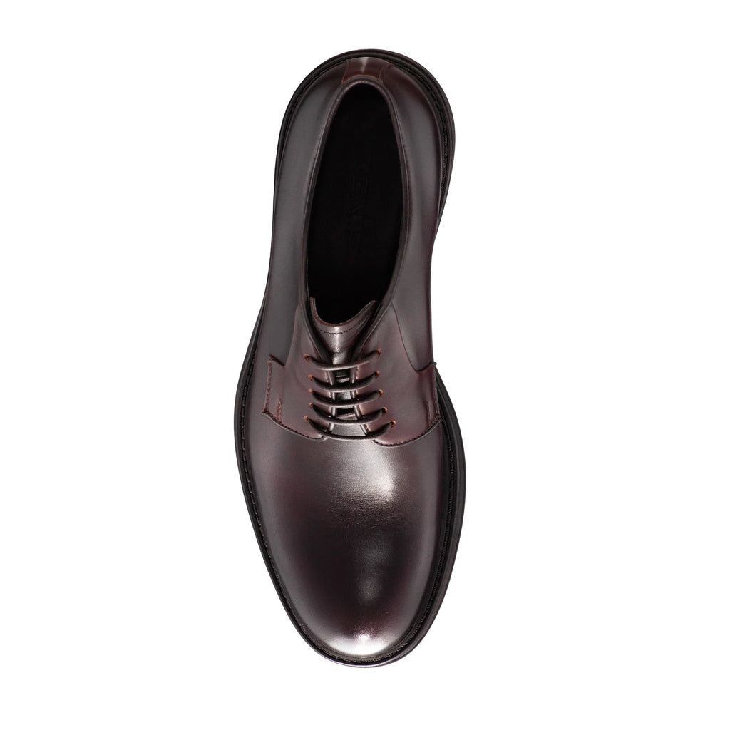 Pantofi Eleganti Barbati 7641 Vitello T.Moro